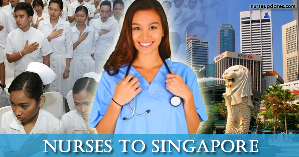 Singapore hospitals need 200 staff nurses - Nurse Updates